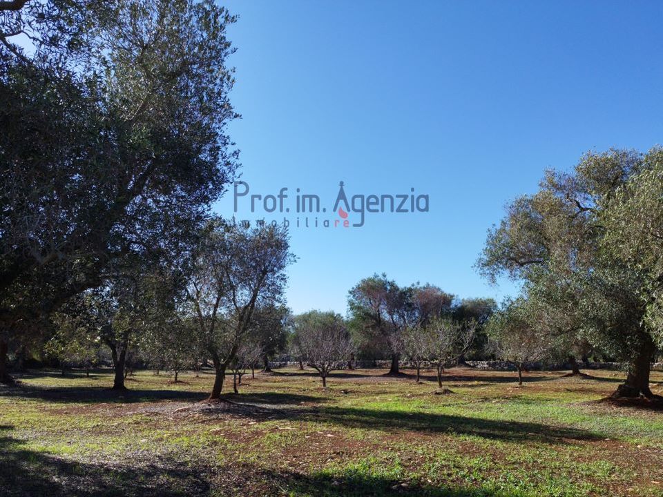 Terreno en Carovigno, Brindisi - foto 1